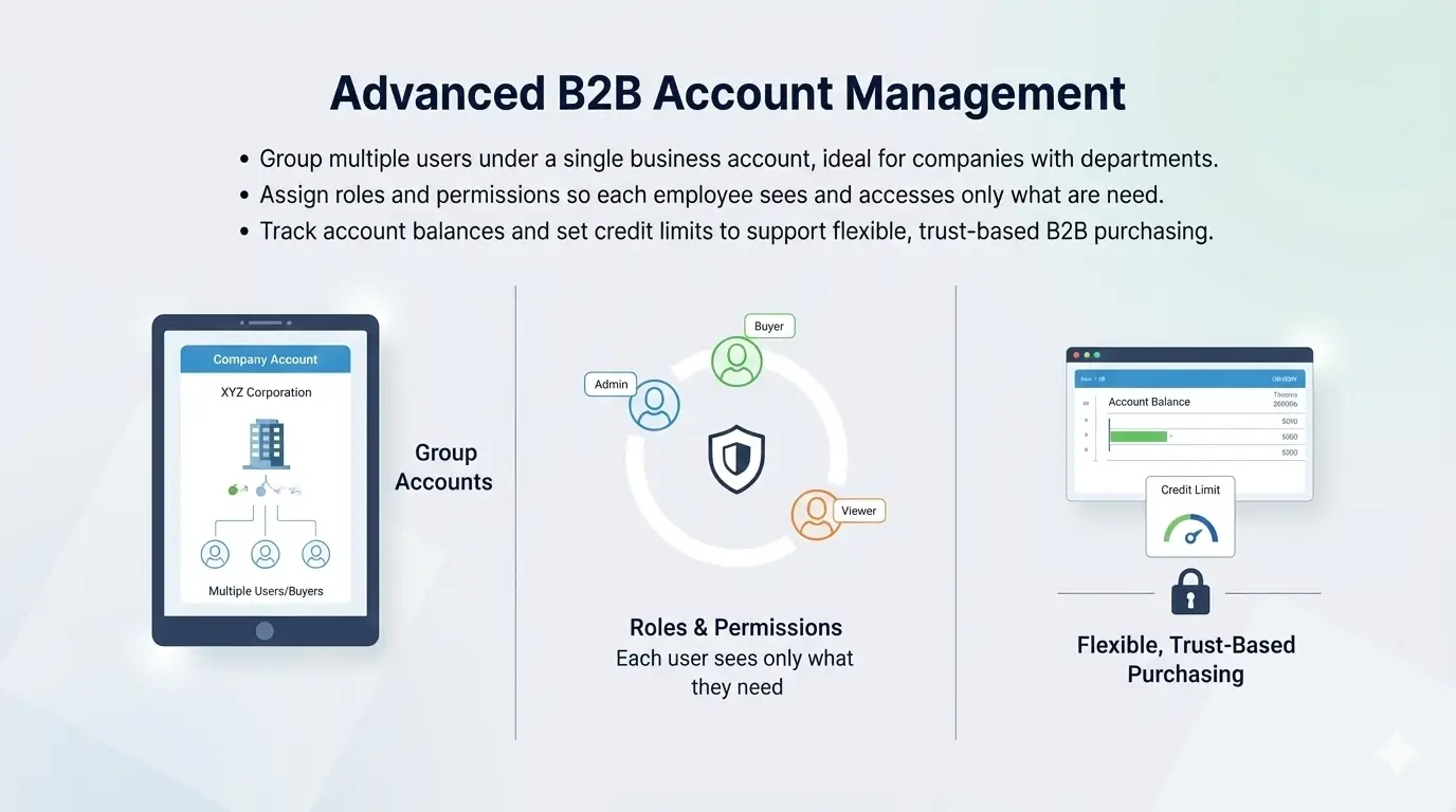 Advanced B2B Account Management